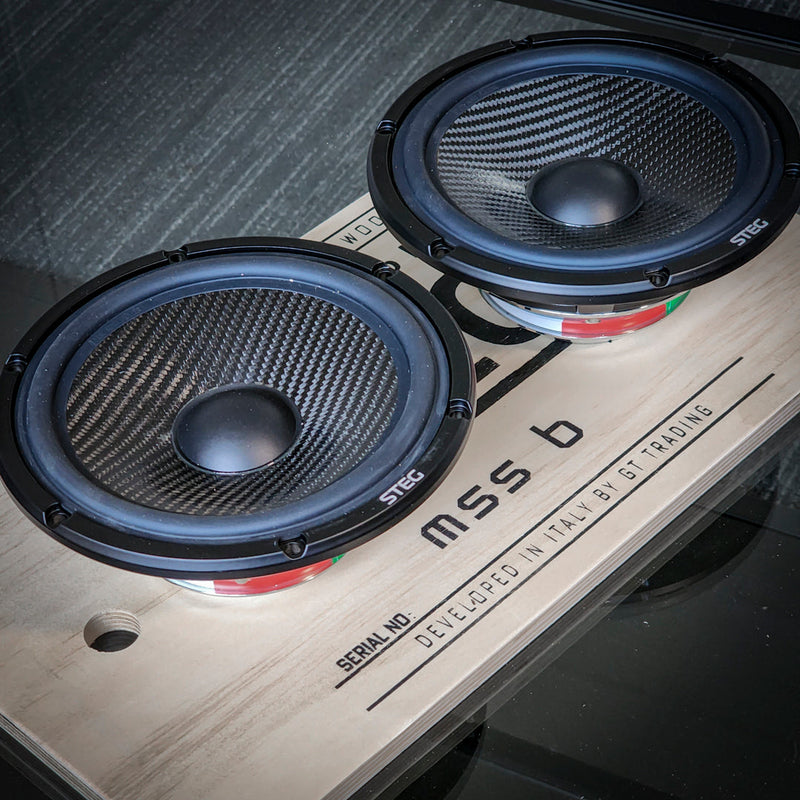 STEG Master Stroke MSS6 - 6.6" 200W RMS Premium Speaker | Pair