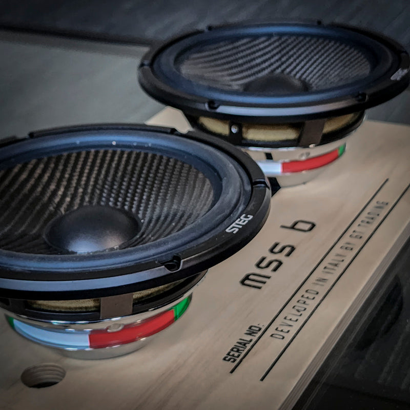 STEG Master Stroke MSS6 - 6.6" 200W RMS Premium Speaker | Pair