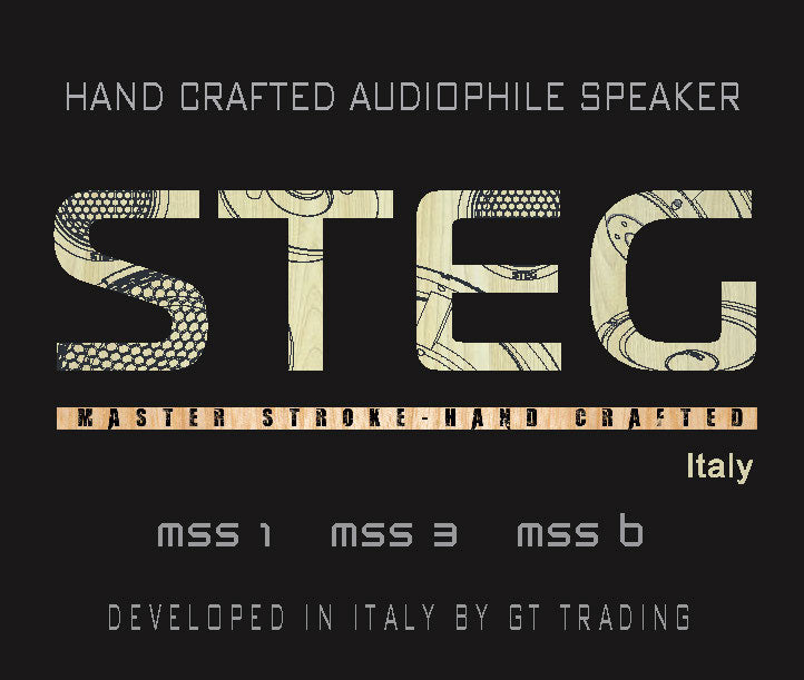 STEG Master Stroke MSS1 - 2.7" Premium Tweeter | Pair